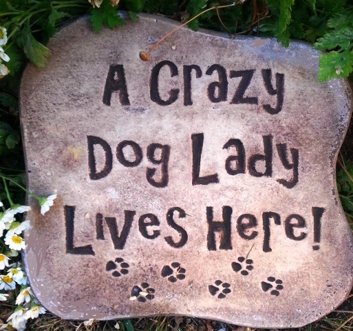 Hand Painted - Plaque A Crazy Dog Lady Lives Here - Click Image to Close